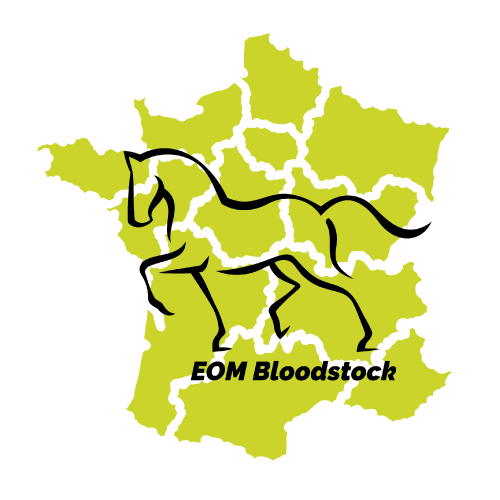 Logo EOM BLOODSTOCK